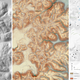 Este estudio requirió meses de meticuloso trabajo, en el que los investigadores tuvieron que traducir los datos Lidar del terreno en interpretaciones arqueológicas comprensibles. Estas tres imágenes son del sitio de “Dos Torres”, en las escarpadas colinas entre las ciudades de Tikal y Uaxactun.
